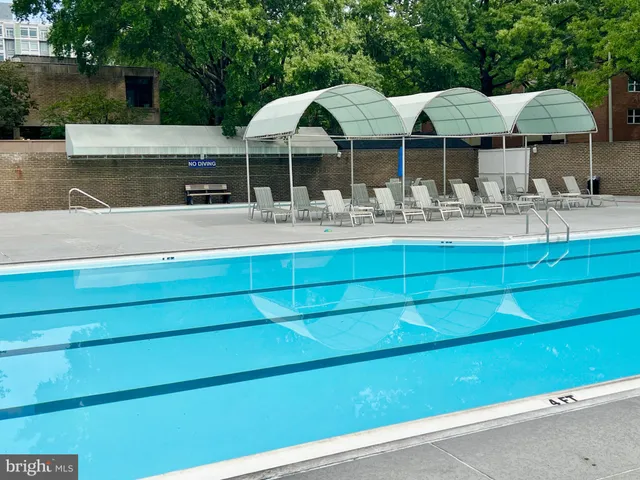 a flower view in front of flowers