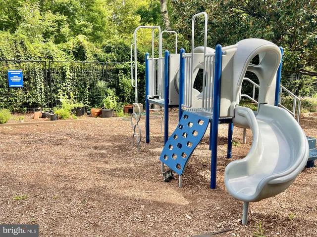 a view of a garden with plants