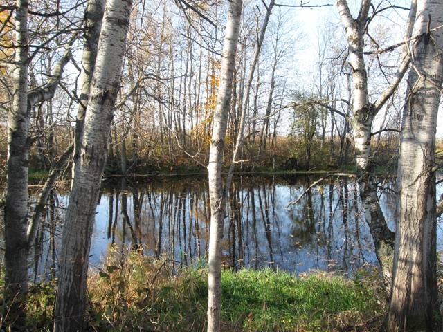10.5 County Rd K Irma, WI 54442 - Photo 1 of 1