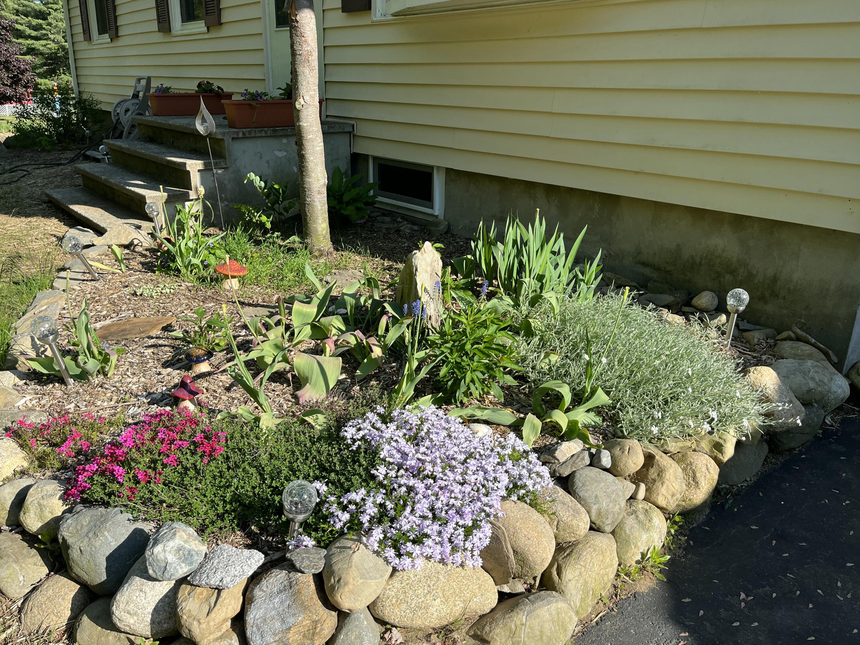 174 McKenney Road Saco, ME 04072 - Photo 24 of 29 IMG_2459