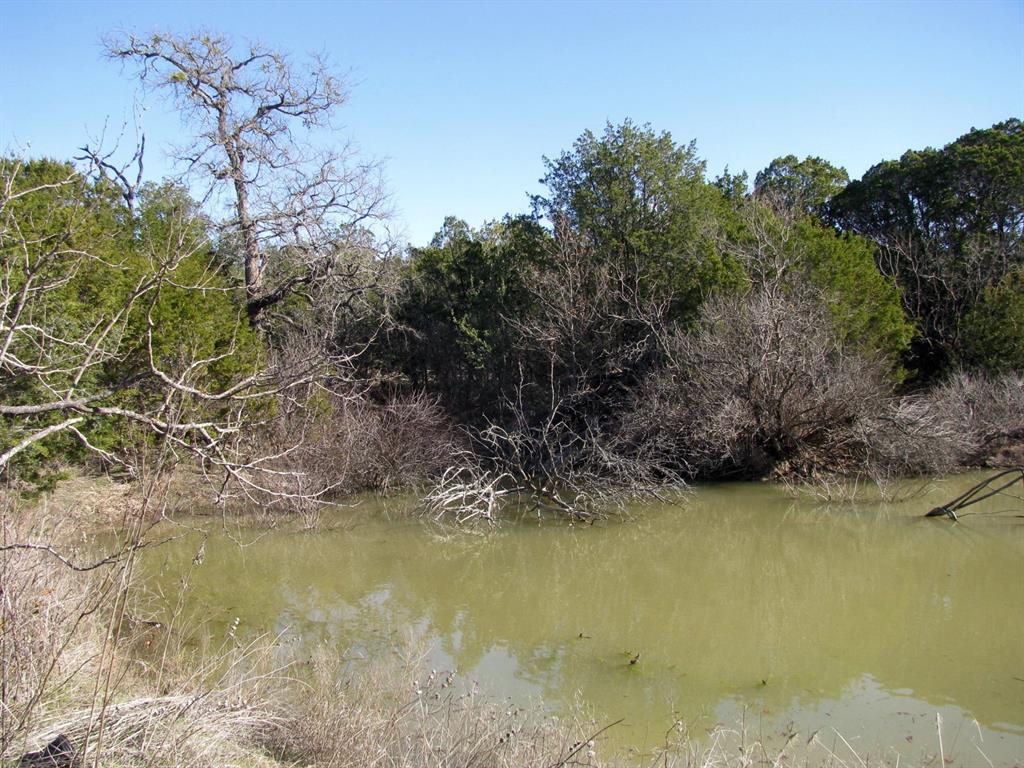 Lot 3-ph County Road 421 Evant, TX 76525 - Photo 6 of 27