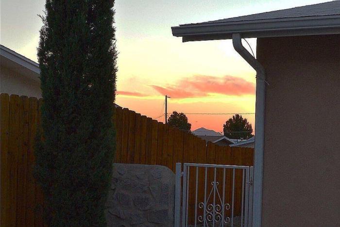 3112 Risner Street Las Cruces, NM 88011 - Photo 13 of 29