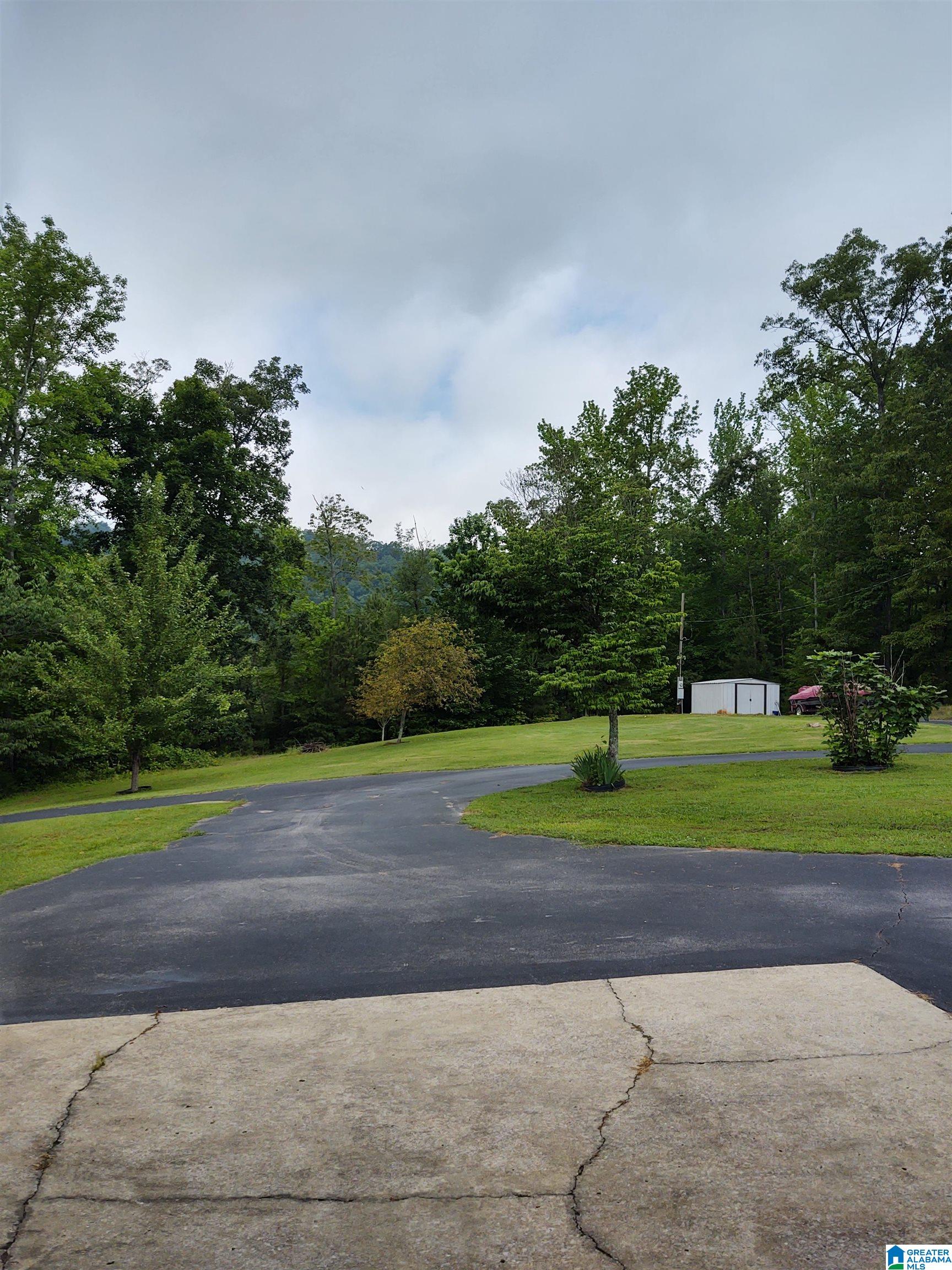 3409 Red Valley Road Remlap, AL 35133 - Photo 5 of 59