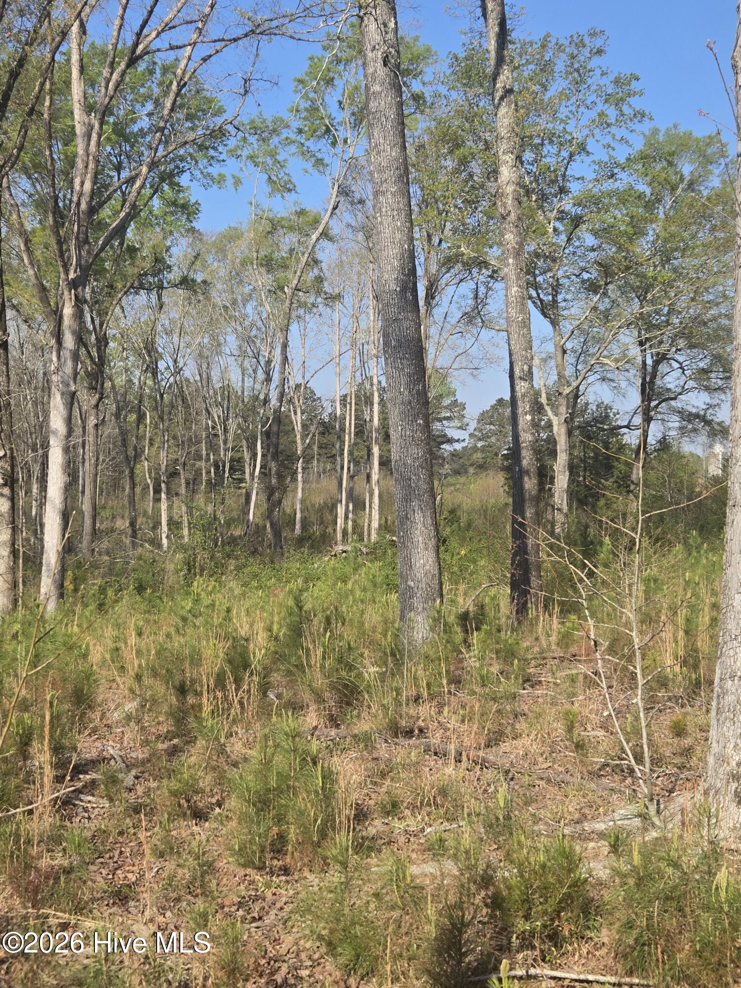0 Mercier Road Lincolnton, GA 30817 - Photo 5 of 6