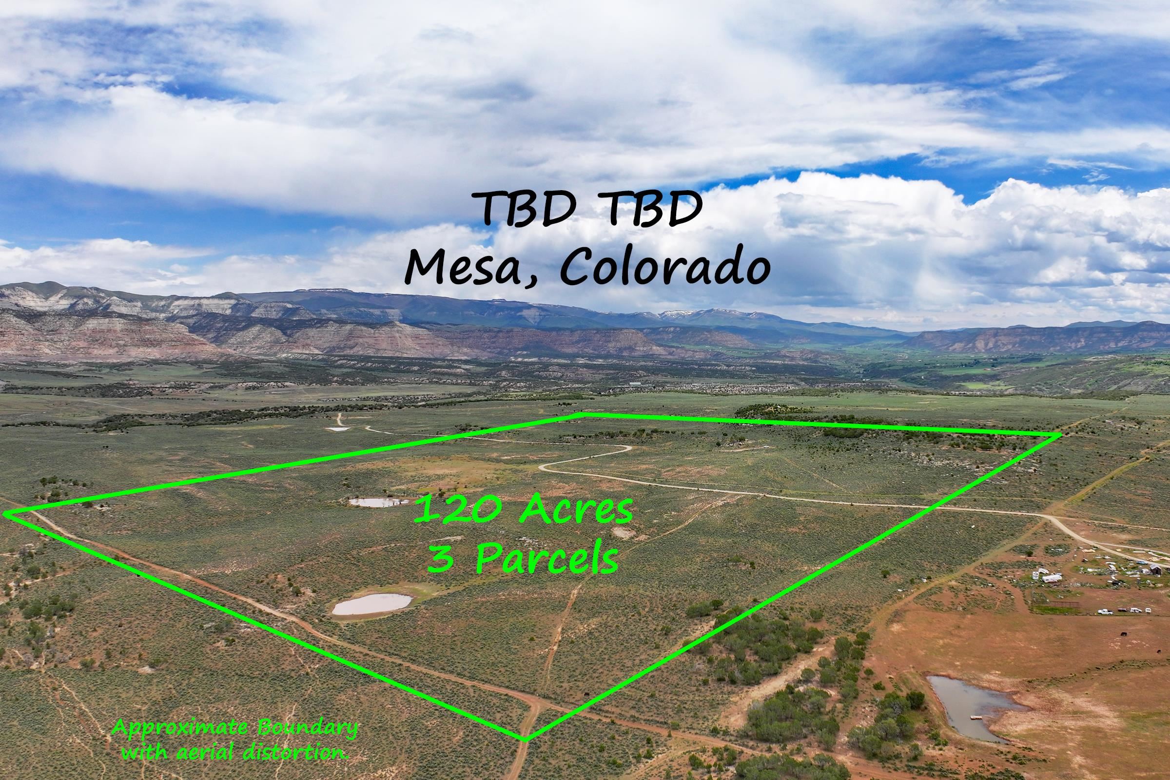 Tbd Tbd Tbd, Unit 40 ACRES De Beque, CO 81630 - Photo 3 of 8