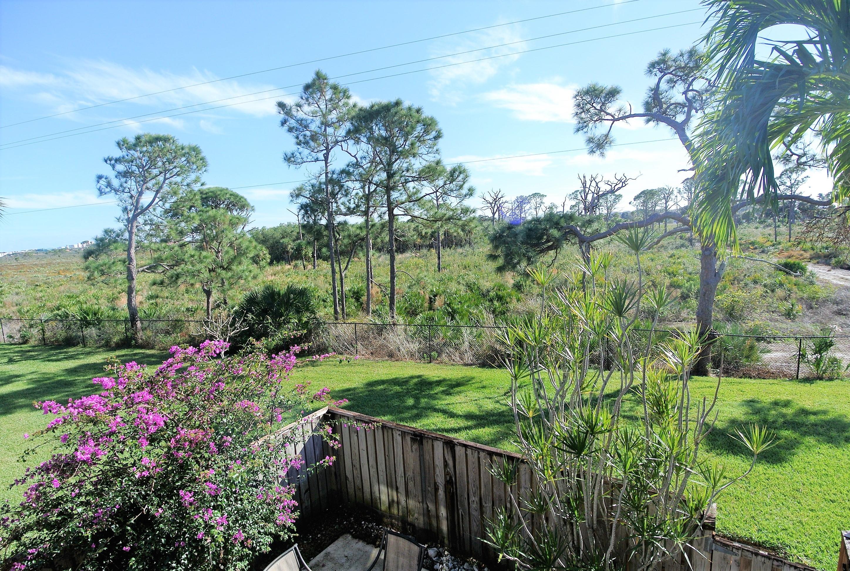 a view of a garden with a flower garden