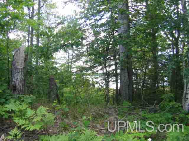 Tbd Lake Gerald Road Toivola, MI 49965 - Photo 13 of 23 Gallery Image 13