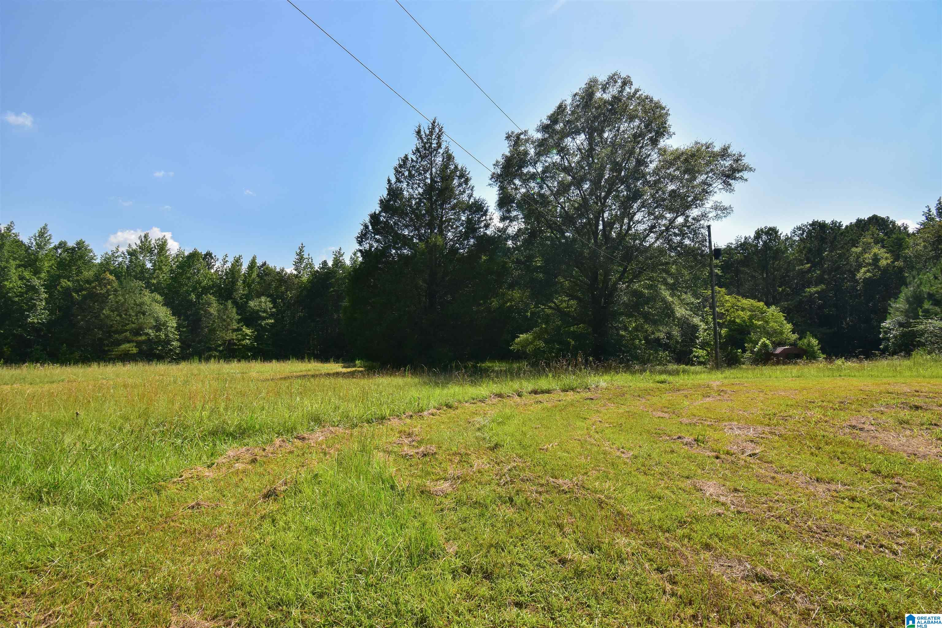 373 Myers Road Berry, AL 35546 - Photo 57 of 74