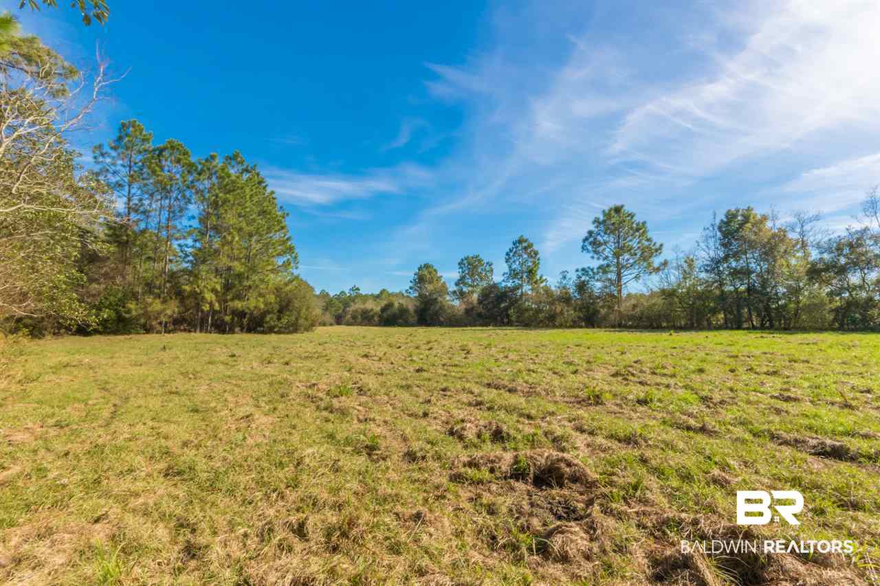21801 County Road 28 Foley, AL 36535 - Photo 35 of 41