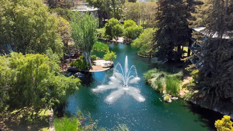 $529,000 | 800 North Delaware Street, Unit 310, San Mateo, CA 94401