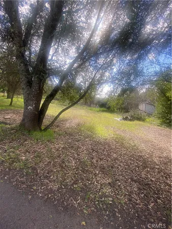 a view of a yard with a tree