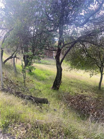 a view of a yard with a tree