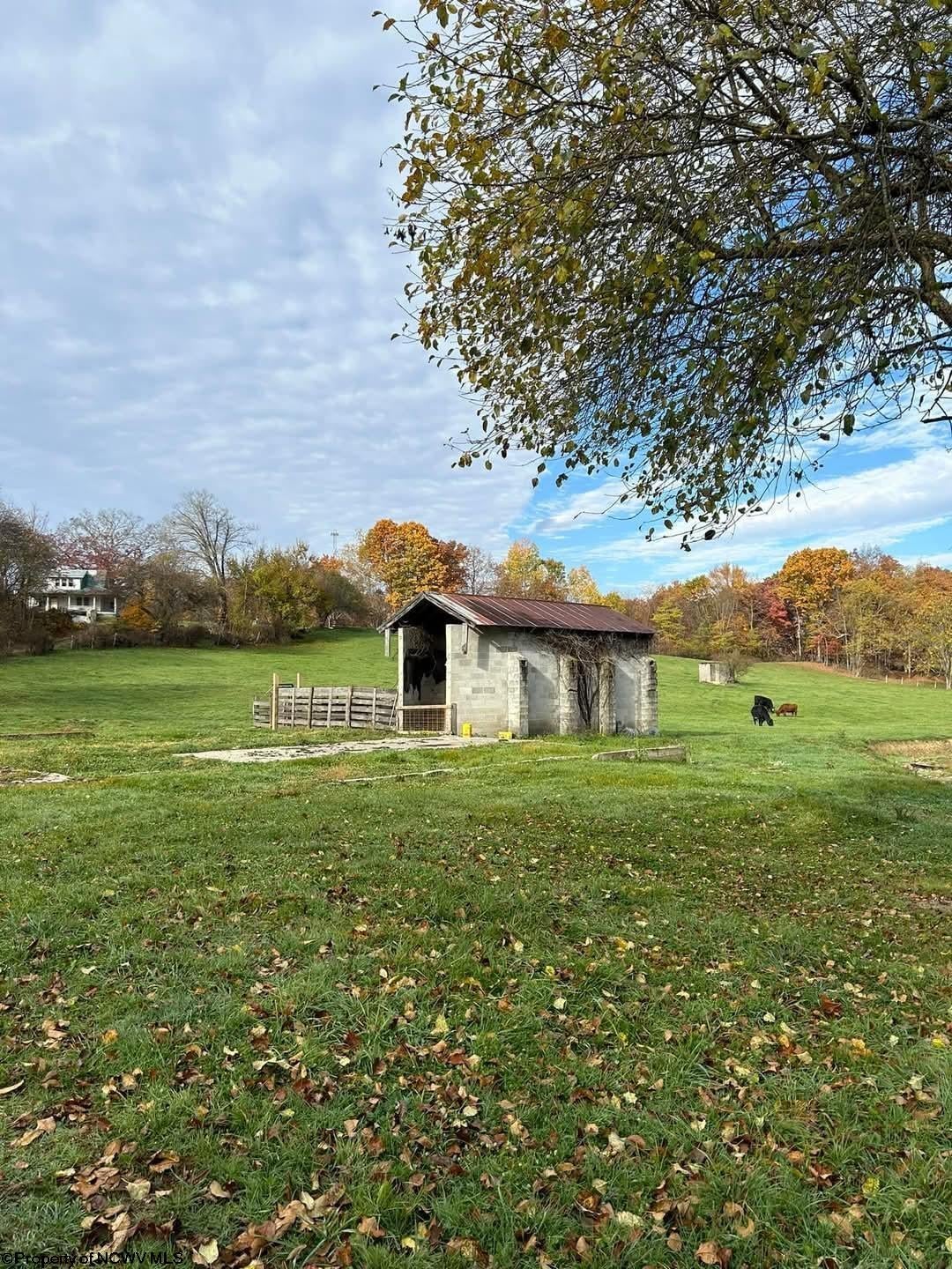 65 Friel Hl Road Huttonsville, WV 26273 - Photo 3 of 7 Gallery Image 3