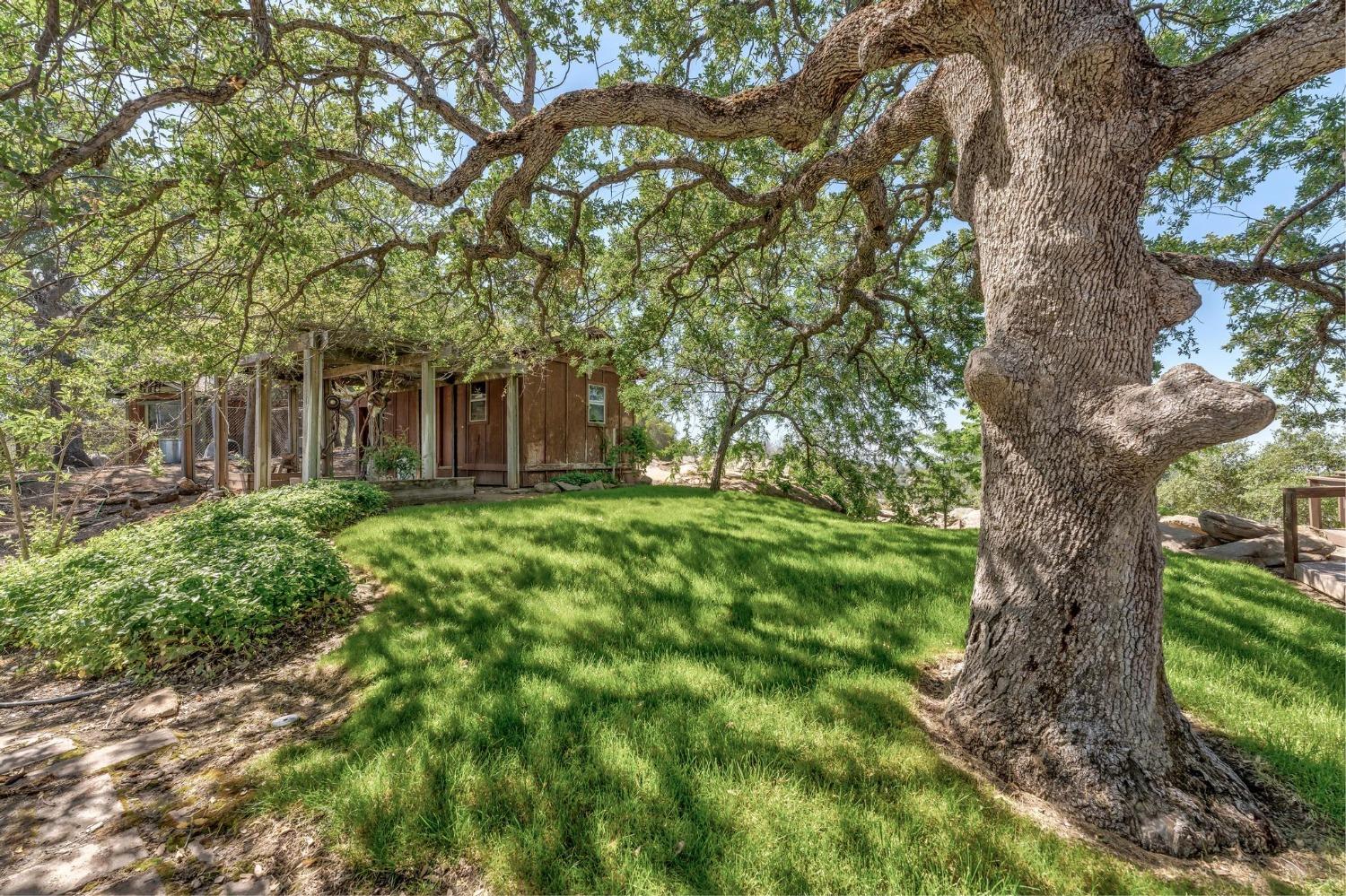 43599 Wells Road West Coarsegold, CA 93614 - Photo 4 of 43 Gallery Image 4