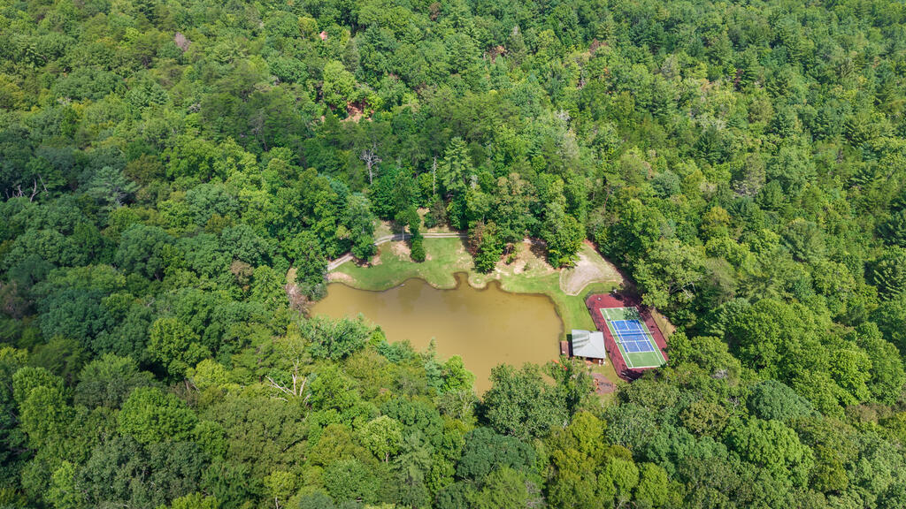 260 Observation Lane Blue Ridge, GA 30513 - Photo 58 of 64 Gallery Image 58