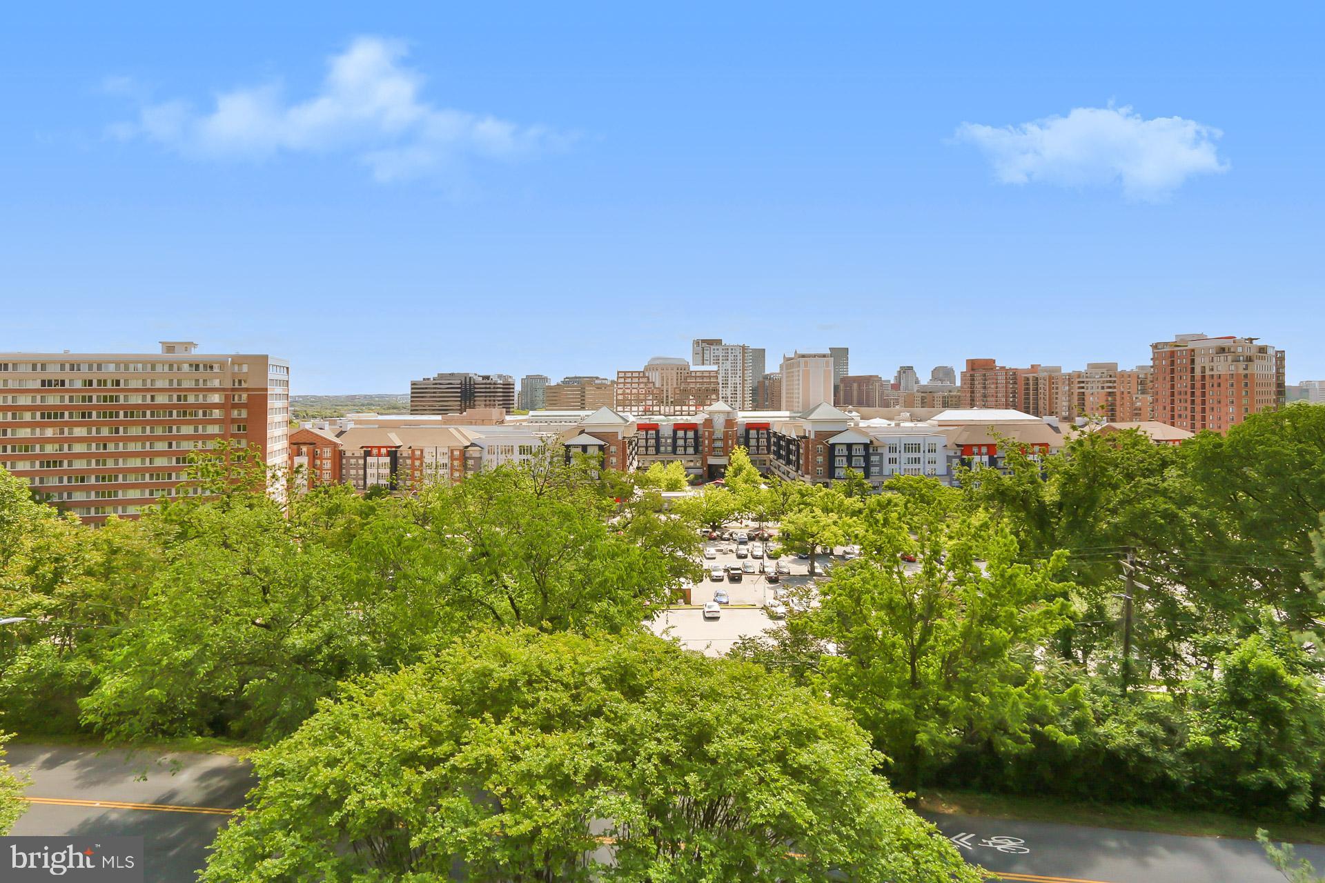 1101 South Arlington Ridge Road, Unit 309 Arlington, VA 22202 - Photo 44 of 47 Balcony View