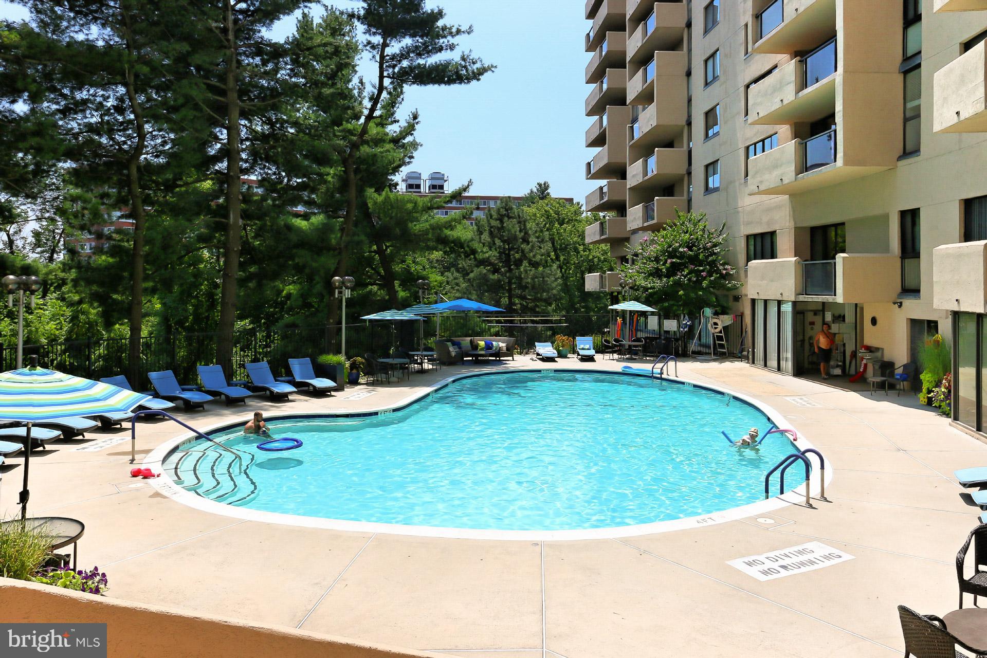 1101 South Arlington Ridge Road, Unit 309 Arlington, VA 22202 - Photo 45 of 47 Pool