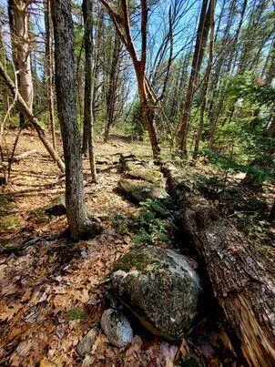 $350,000 | Lot #11 Sanford Rd Wells, Wells, ME 04090