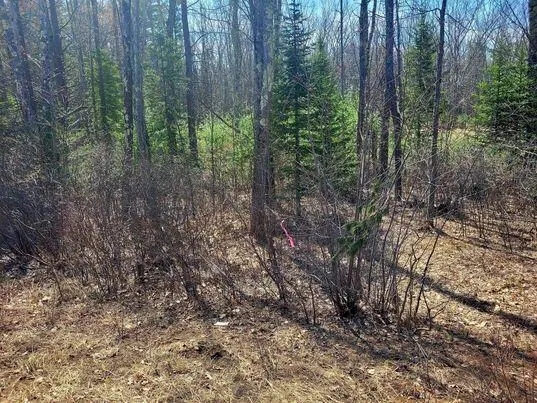 $350,000 | Lot #11 Sanford Rd Wells, Wells, ME 04090