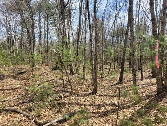$350,000 | Lot #11 Sanford Rd Wells, Wells, ME 04090