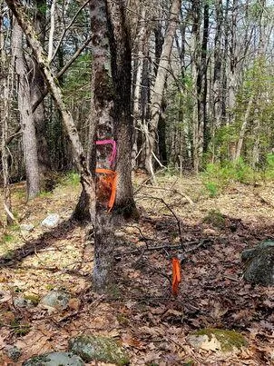 $350,000 | Lot #11 Sanford Rd Wells, Wells, ME 04090