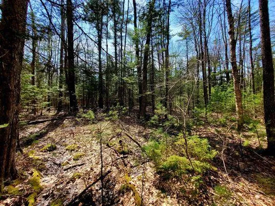 $350,000 | Lot #11 Sanford Rd Wells, Wells, ME 04090