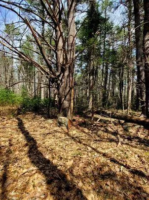 $350,000 | Lot #11 Sanford Rd Wells, Wells, ME 04090