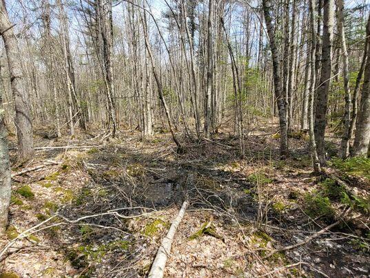 Lot #11 Sanford Rd Wells Wells, ME 04090 - Photo 24 of 53 341305549_941742820287443_57174751268893