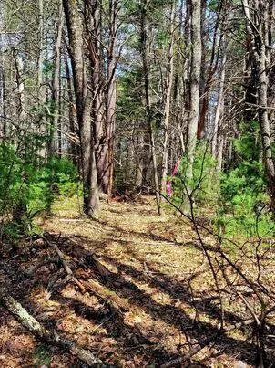 $350,000 | Lot #11 Sanford Rd Wells, Wells, ME 04090