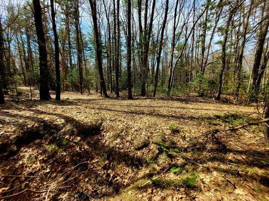 Lot #11 Sanford Rd Wells Wells, ME 04090 - Photo 29 of 53 341468587_196877343098938_17080778817828