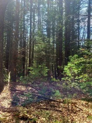 $350,000 | Lot #11 Sanford Rd Wells, Wells, ME 04090