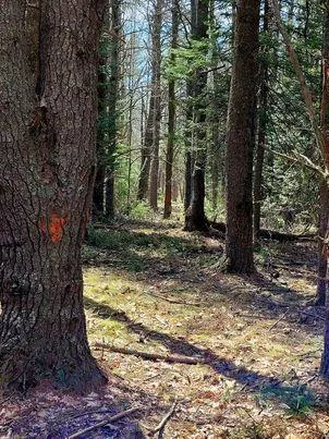 $350,000 | Lot #11 Sanford Rd Wells, Wells, ME 04090