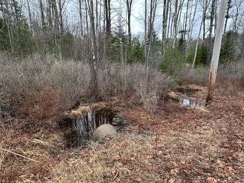 Lot #11 Sanford Rd Wells Wells, ME 04090 - Photo 35 of 53 488181821_2857817307724173_4275763515143
