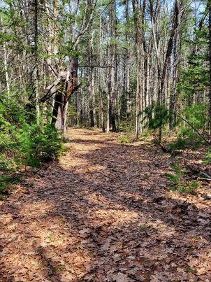 Lot #11 Sanford Rd Wells Wells, ME 04090 - Photo 6 of 53 329974687_159628953399923_22089440450573