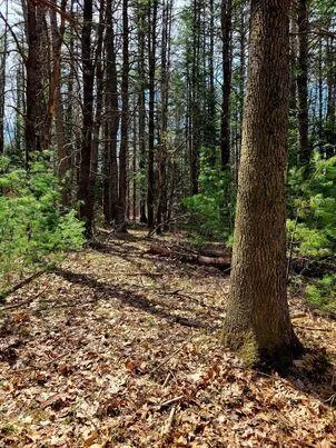 $350,000 | Lot #11 Sanford Rd Wells, Wells, ME 04090
