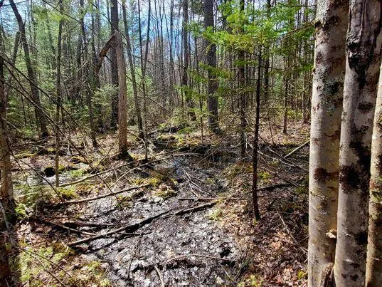$350,000 | Lot #11 Sanford Rd Wells, Wells, ME 04090