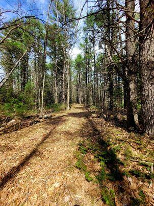 Lot #11 Sanford Rd Wells Wells, ME 04090 - Photo 9 of 53 341149162_117754624618961_29939009338081