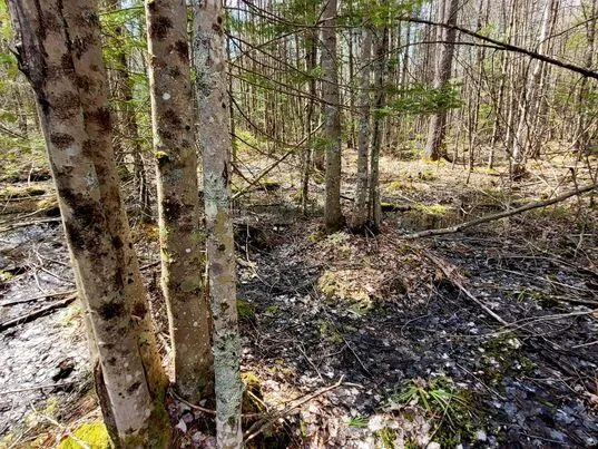 $350,000 | Lot #11 Sanford Rd Wells, Wells, ME 04090