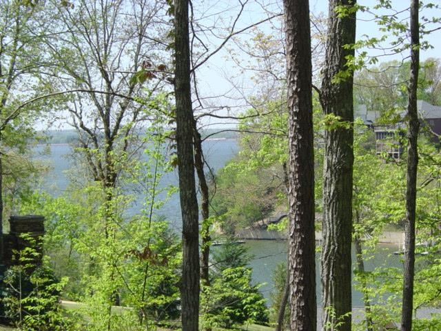 160 Ridge View Savannah, TN 38372 - Photo 3 of 6 Gallery Image 3