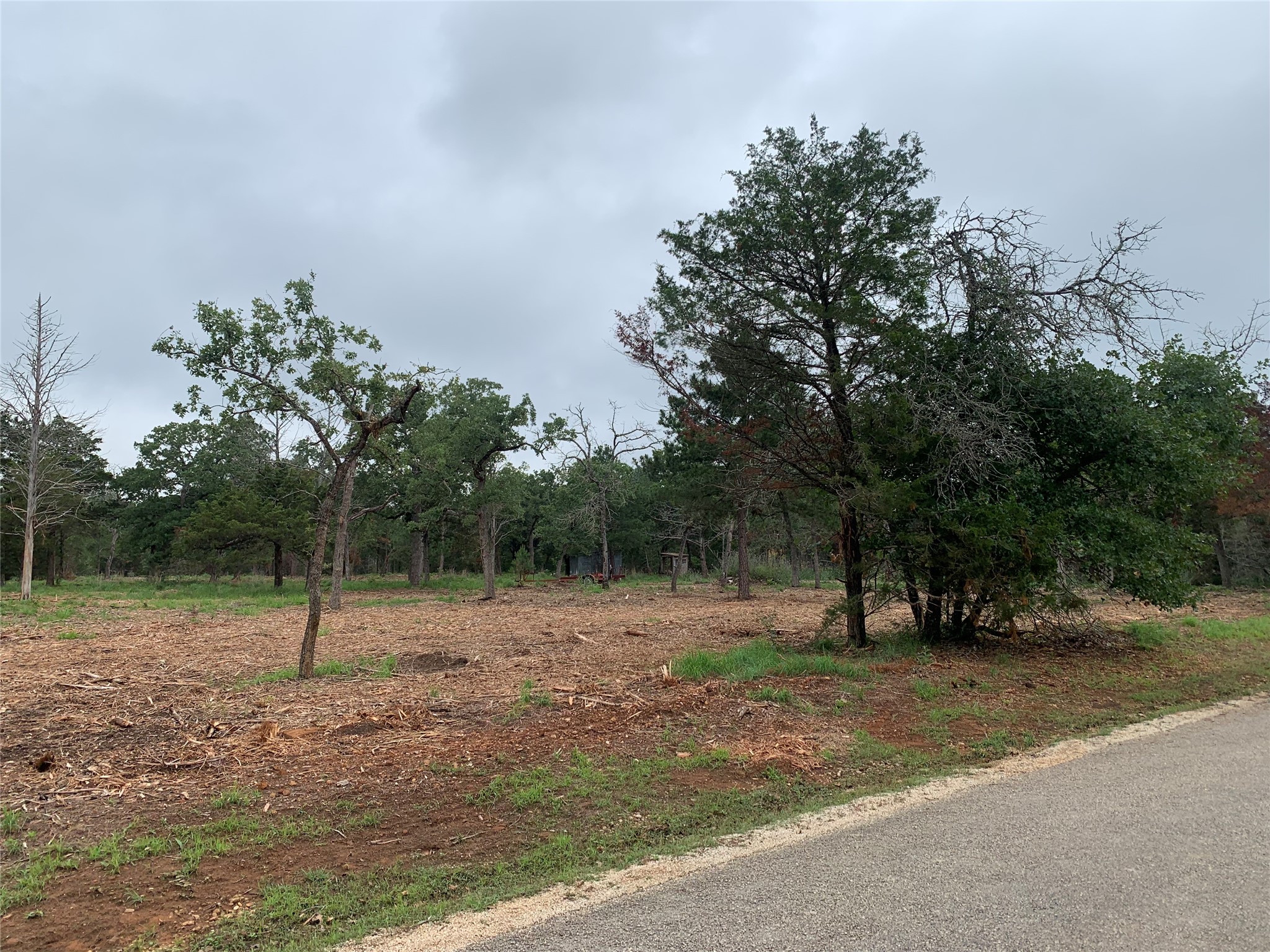 0 Pine Valley Loop Smithville, TX 78957 - Photo 13 of 19 a view of outdoor space with trees
