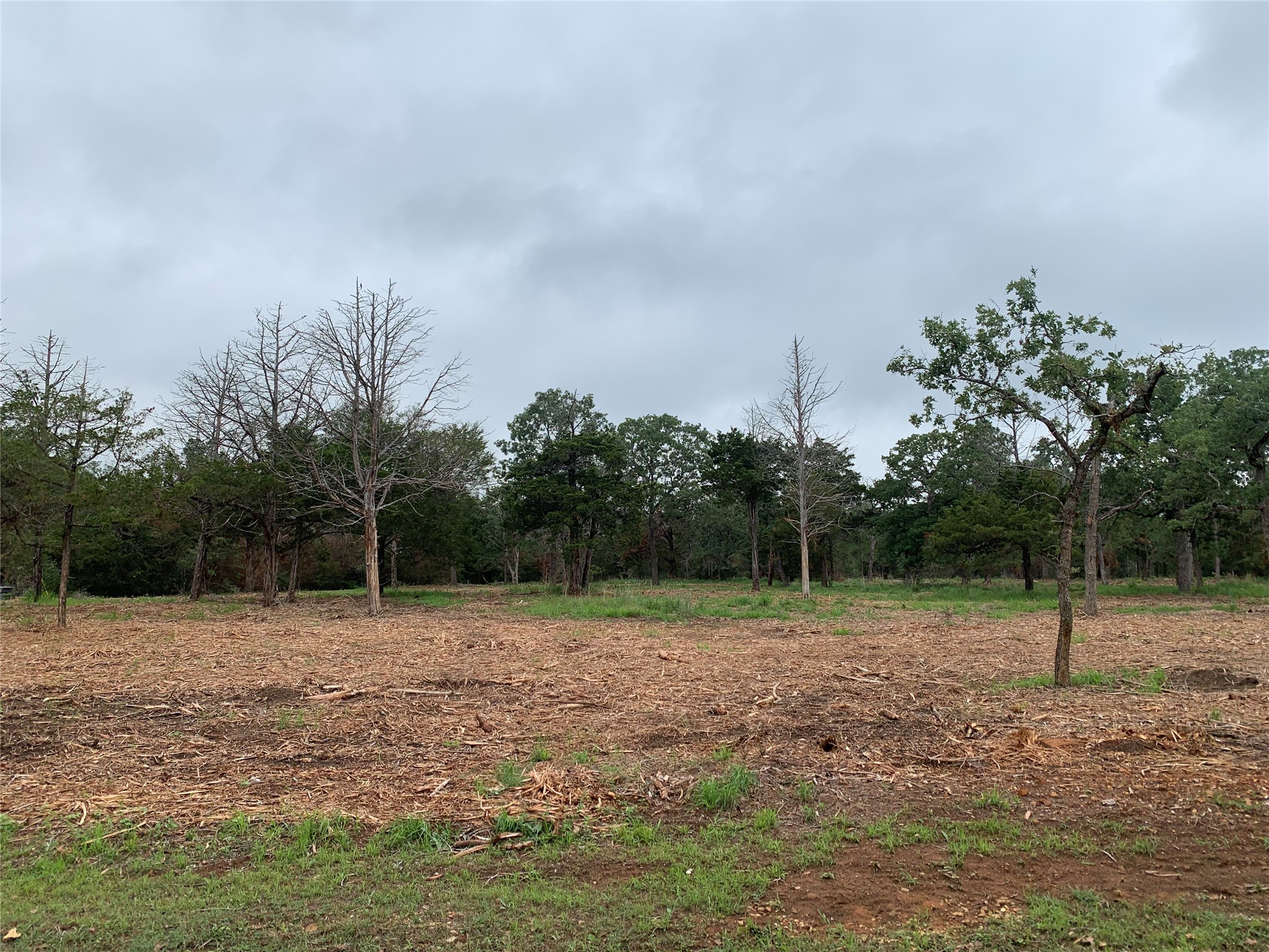 0 Pine Valley Loop Smithville, TX 78957 - Photo 14 of 19 a view of outdoor space with trees