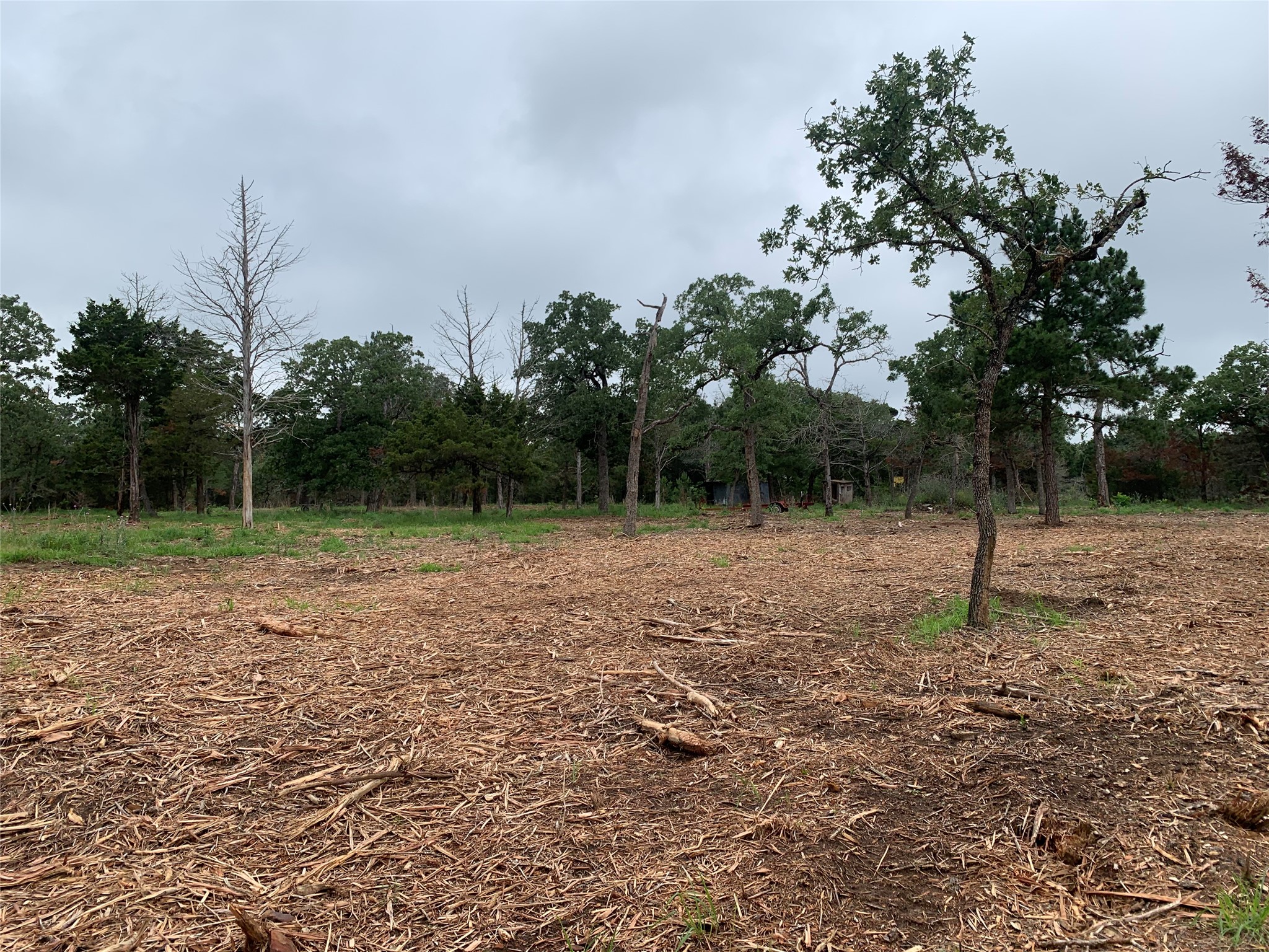 0 Pine Valley Loop Smithville, TX 78957 - Photo 15 of 19 a backyard of a house with lots of green space