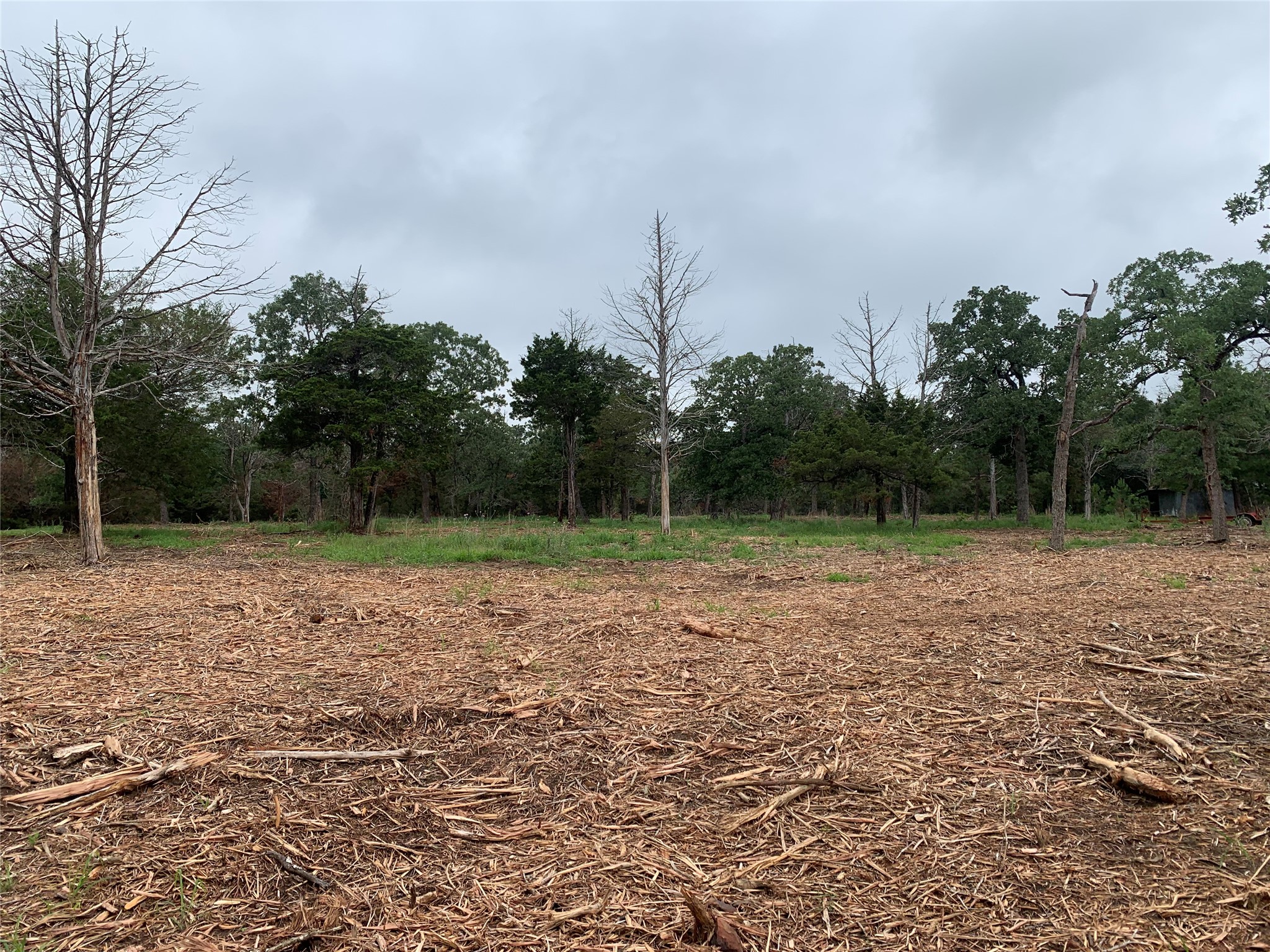 0 Pine Valley Loop Smithville, TX 78957 - Photo 16 of 19 a view of outdoor space with deck and yard