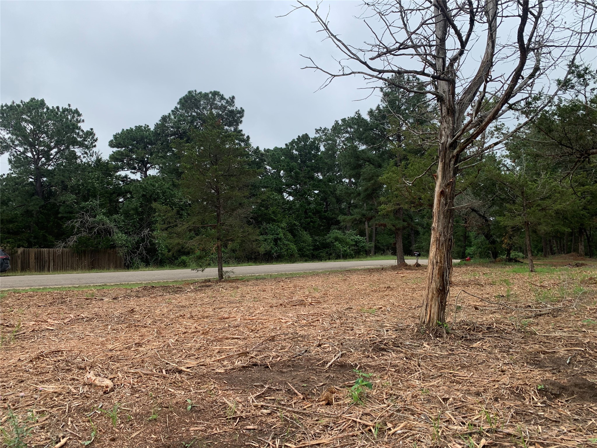 0 Pine Valley Loop Smithville, TX 78957 - Photo 19 of 19 a backyard of a house with lots of green space