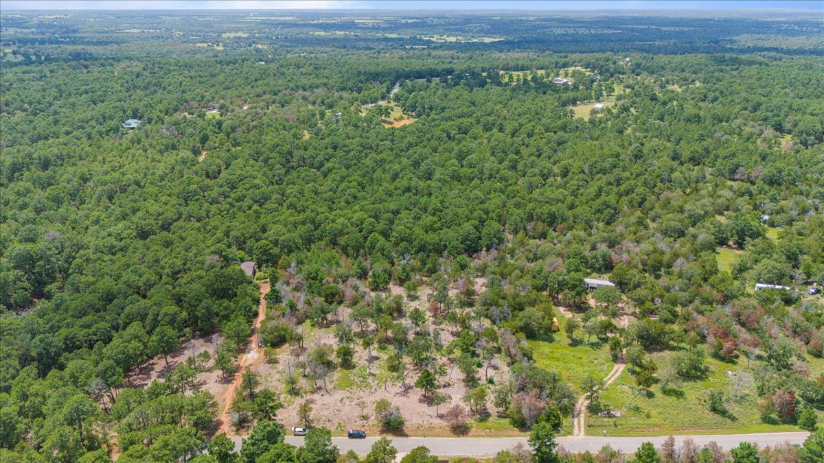 0 Pine Valley Loop Smithville, TX 78957 - Photo 2 of 19 a view of a green field with lots of bushes