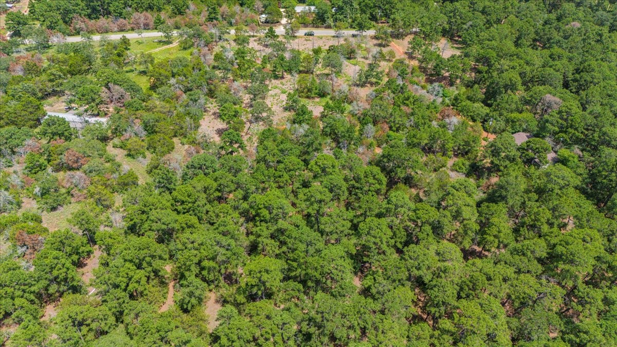 0 Pine Valley Loop Smithville, TX 78957 - Photo 5 of 19 a view of a big yard with plants and wooden floor