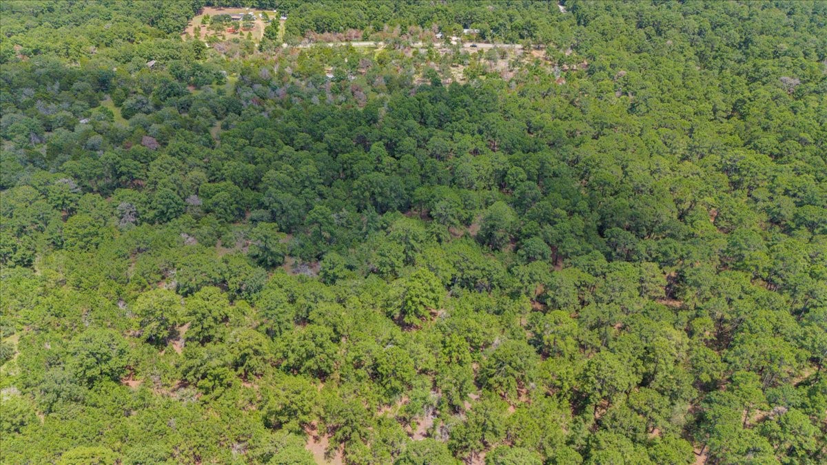 0 Pine Valley Loop Smithville, TX 78957 - Photo 7 of 19 a view of a lush green field