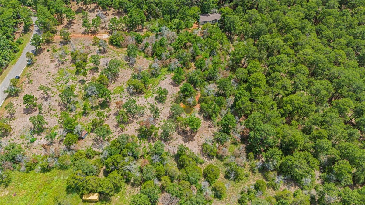 0 Pine Valley Loop Smithville, TX 78957 - Photo 8 of 19 a view of a big yard with plants and large trees