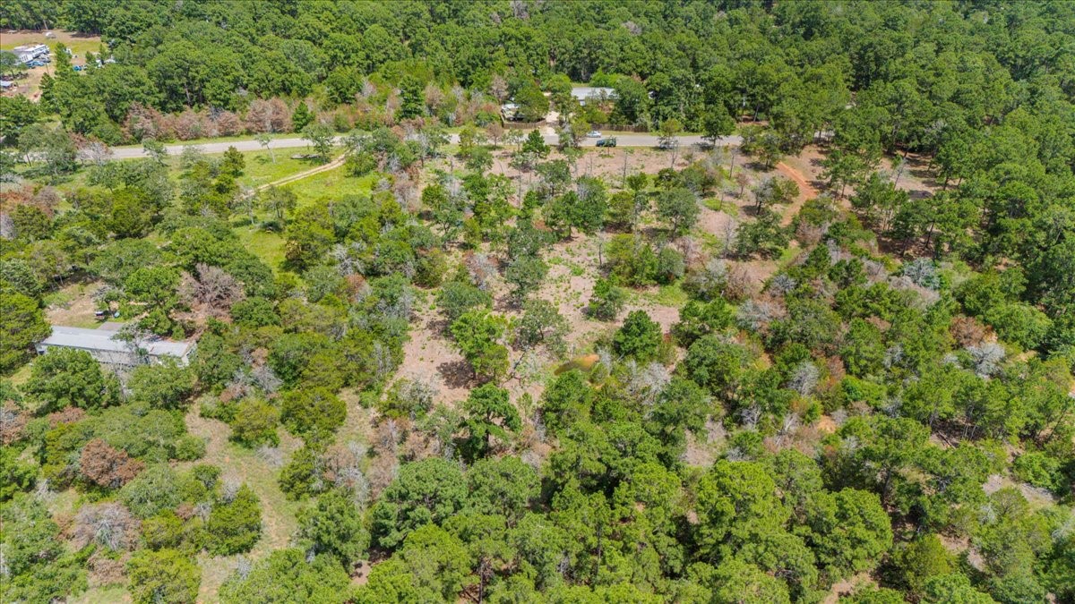 0 Pine Valley Loop Smithville, TX 78957 - Photo 9 of 19 a view of a big yard with plants and large trees