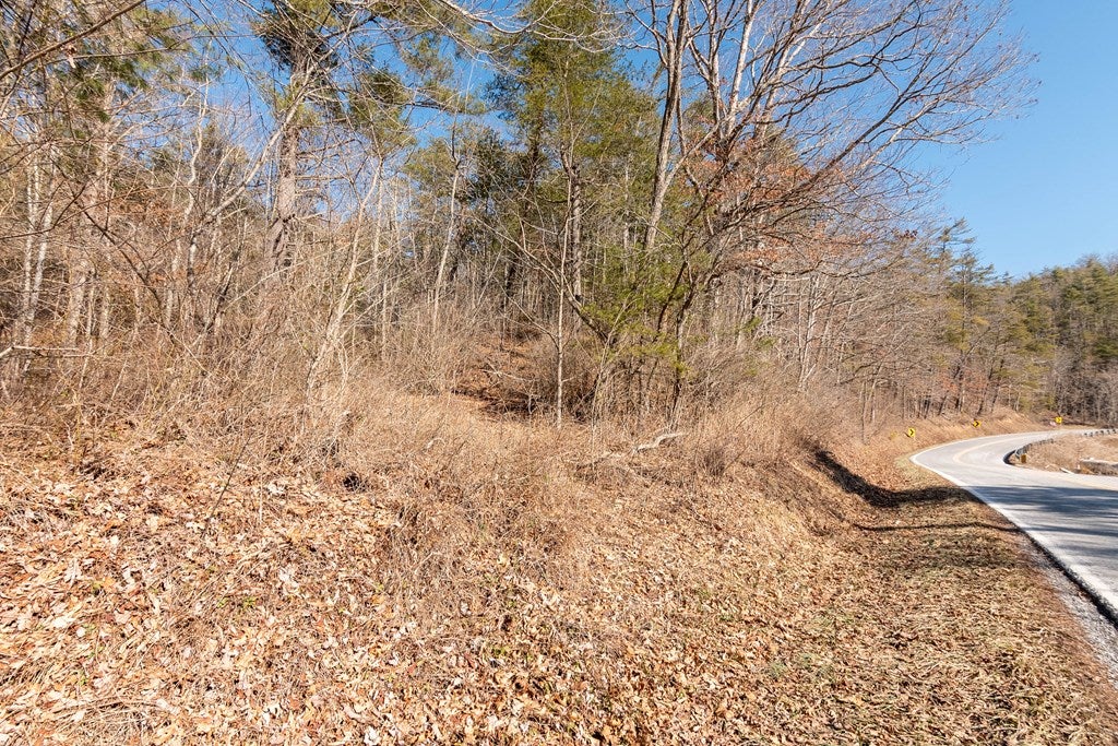 Tbd Wilderness Road Bland, VA 24315 - Photo 19 of 19 Gallery Image 19